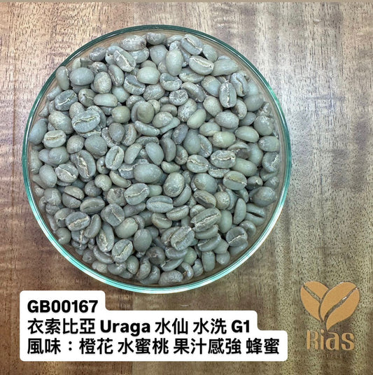 [咖啡生豆] 衣索比亞 烏拉嘎 水仙 水洗 G1